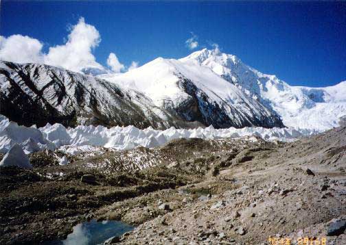 �V�V���p���}������i�W�O�O�W���[�g���j�ō���o���L