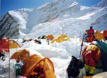 �V�V���p���}������i�W�O�O�W���[�g���j�ō���o���L