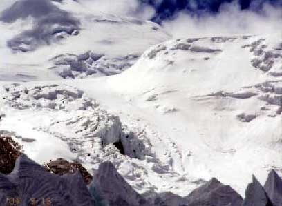 �V�V���p���}������i�W�O�O�W���[�g���j�ō���o���L