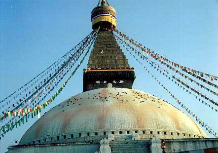 �������瑽���̐M�҂��Q�q�{�_�i�[�g���@