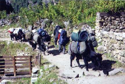 �]�b�L���̑���