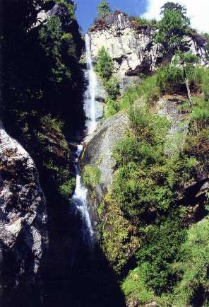 �V�󂩂痎�������