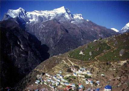 �i���`�F�E�o�U�[������