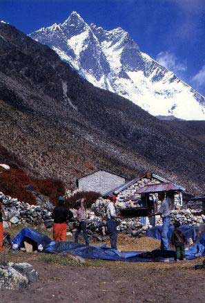 �q�}�����Ō�̉ۑ�E���[�c�F���