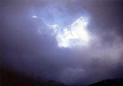 �r�V�̒���