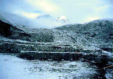 �g�N���̐�i�F