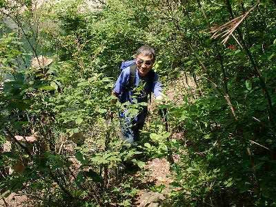 �g�b�v���s���́A���A�n�a�B�V�N�O�̂S���ɊJ�킵���V���[�g��o��B�قƂ�Ǔ��ݐՂ͂Ȃ��I