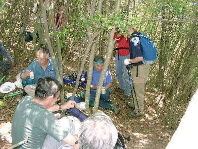 ��O�̔����͒���OB�A�w���p�͓c��OB�A�����͏���OB�A�؂̌҂��`���͖��AOB�A�E�͒���OB