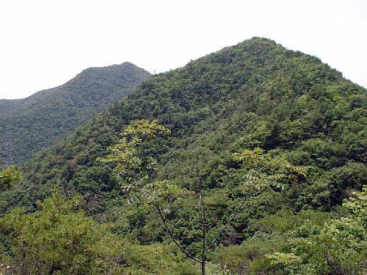 �Ȃ��Ȃ����h�ȋ��󑠎R�B�s�[�N�͍����ɂ���B���[�g�͉E�̃u�b�V���̗Ő���o��B