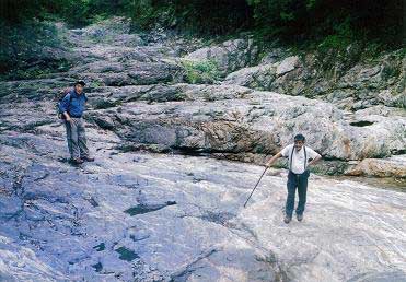 �e�O�S�N�T�����R�s�񍐁@���R�n�E�s�����d��