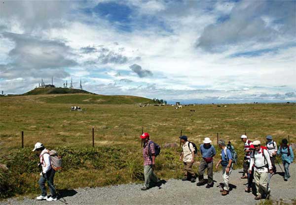 �Q�O�O�U�N�x�EKGAC�����������e��