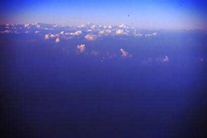 �����㕔���G�x���X�g�H