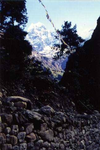 �����̒J�Ԃ��X���^���Z���N