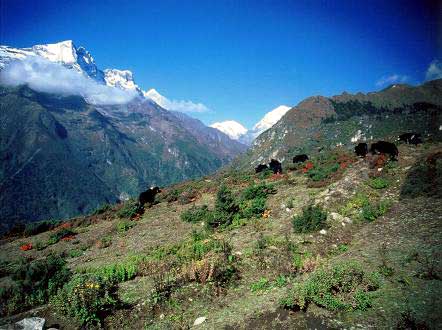 �������Z�ȕ��q�n�ōK���ȁH�]�b�L���B