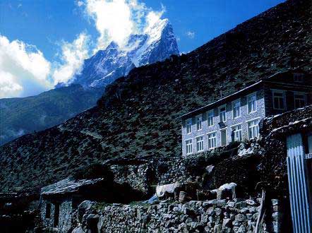 �f�B�G���{�`�F�̃��b�W����^�E�`�F