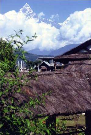 �z�e���̃e���X����]�ރ}�`���v�`����