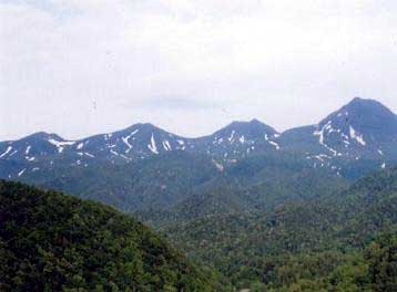 ����ʃ��[�X�z�X�e�����病�P�x�i�E�j