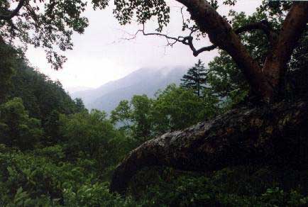 ���{���z���ƏĊx