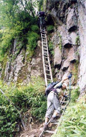 ���{���z���ƏĊx