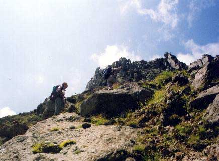 ���{���z���ƏĊx