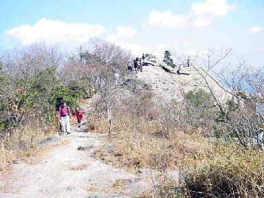 �~�͂�̗Ő��ɗc�q�����C�ɎU��