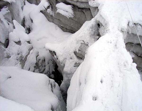 �Ί݂���̎ʐ^�E�E�E�����ɂW���[�g�������A��Ȃ��̃N���o�X�̒��Œ��݁B